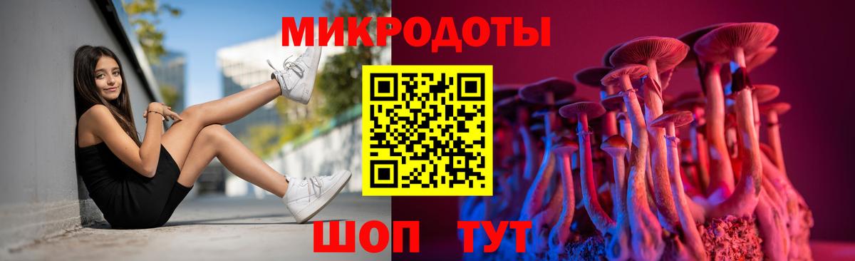 Чебоксары  Галлюциногенные грибы Psilocybine cubensis  Вход с VPN 
